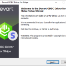 Windows 11 - Stripe ODBC Driver by Devart 1.5.0 screenshot