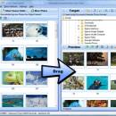 Windows 11 - SortPix XL - Photo Organizing Software 25.1.0 screenshot